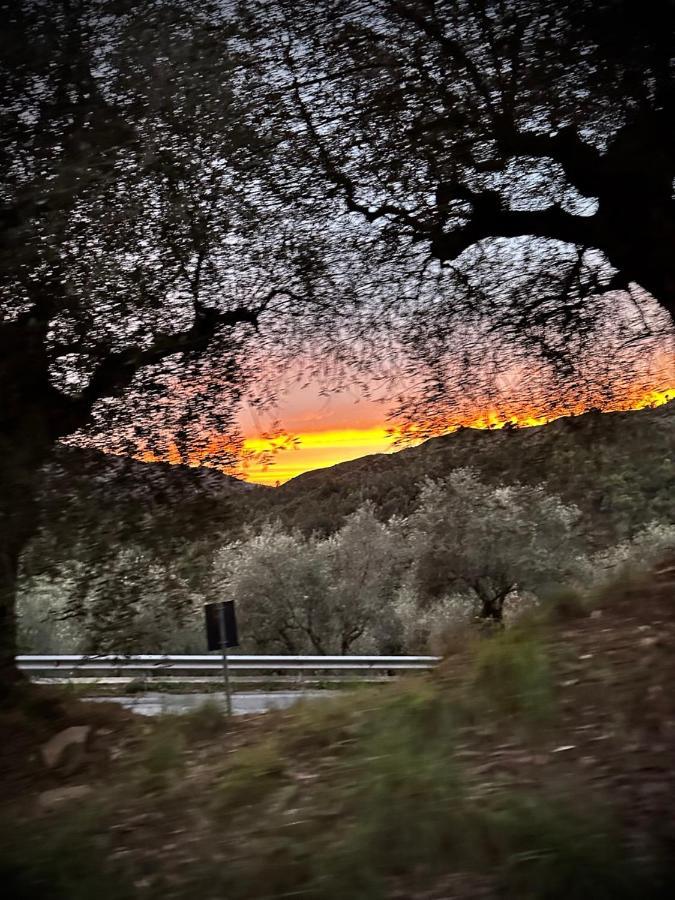 La Taverna Tra Gli Ulivi Perinaldo